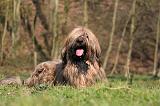 BRIARD 075